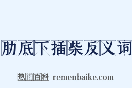 肋底下插柴反义词是什么意思的图片